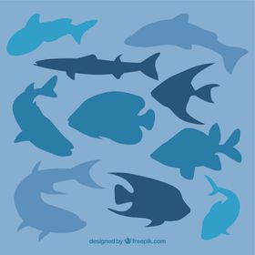 海上生活剪影