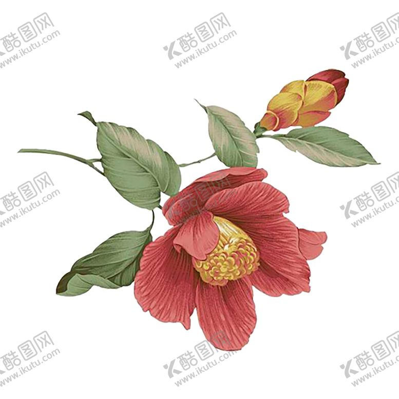 编号：67250309090718155387【酷图网】源文件下载-背景图片