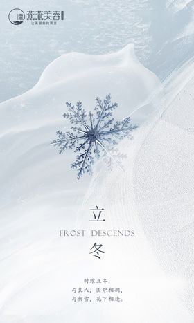 立冬海报二十四节气医美雪花