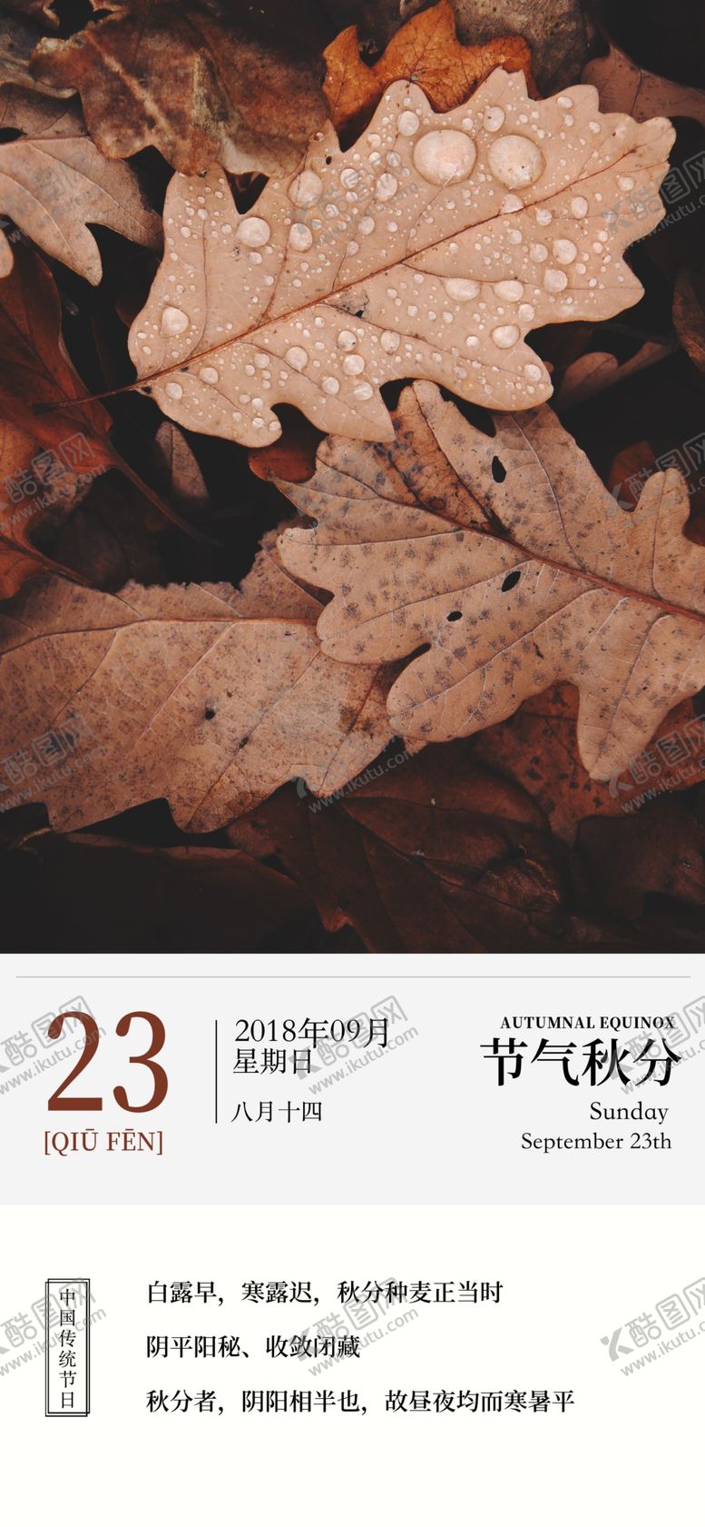 编号：62642706250236529875【酷图网】源文件下载-秋分手机海报