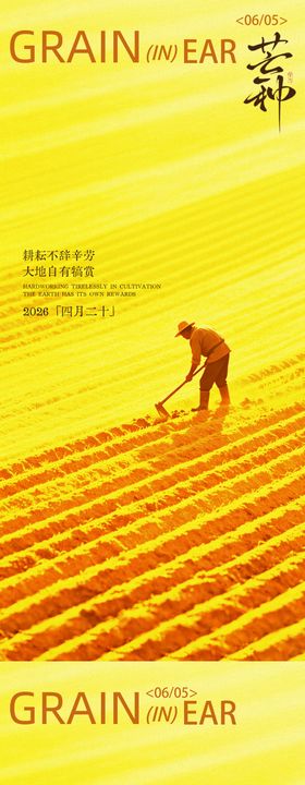 芒种节气地产海报设计