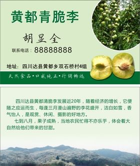 水果李子名片