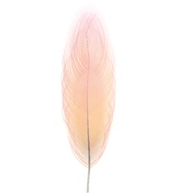 水彩创意羽毛图案