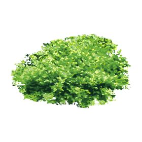 绿色相框