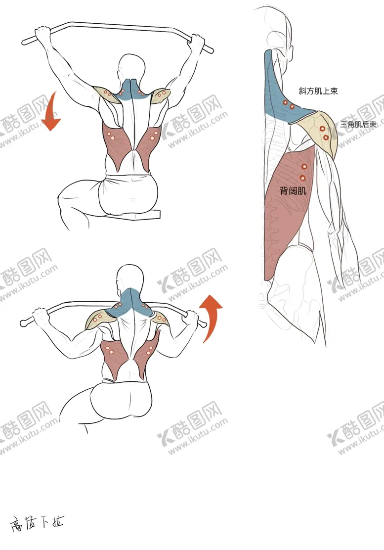 编号：32187609192029022581【酷图网】源文件下载-高位下拉