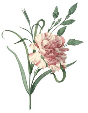 复古花