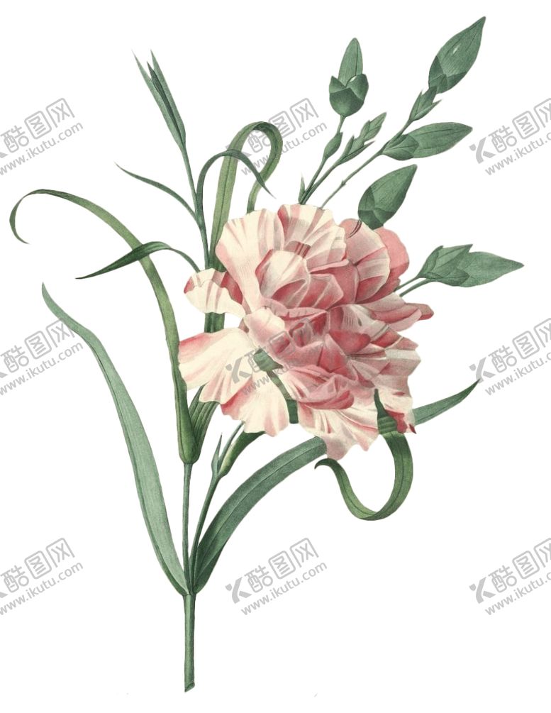 编号：85671206301410137656【酷图网】源文件下载-复古花