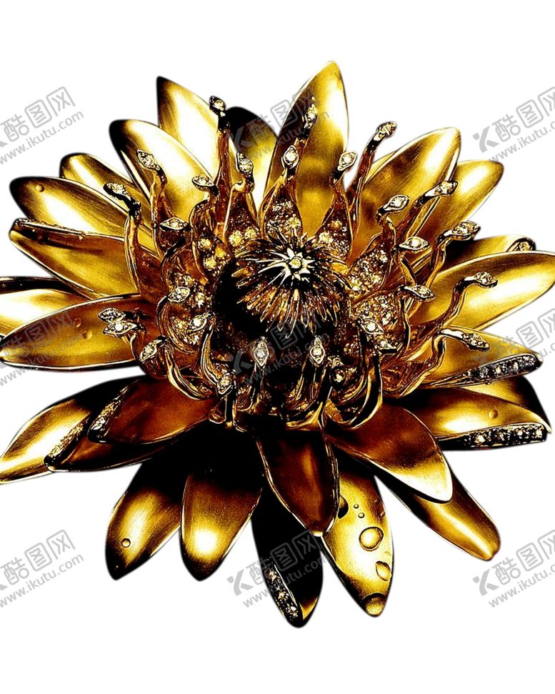 编号：13282510111355042553【酷图网】源文件下载-金色花
