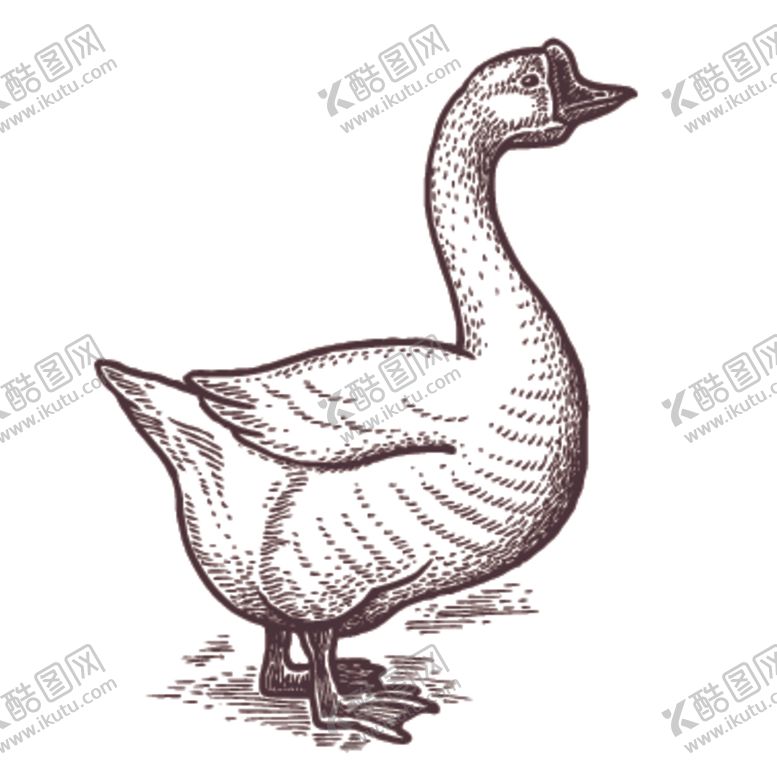 编号：80295709252216394826【酷图网】源文件下载-家养动物主题插画