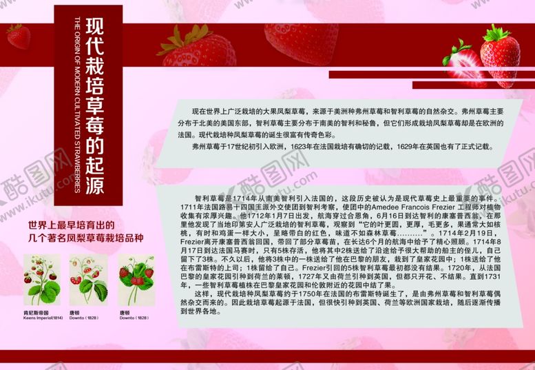编号：16608810080926513709【酷图网】源文件下载-草莓栽培起源