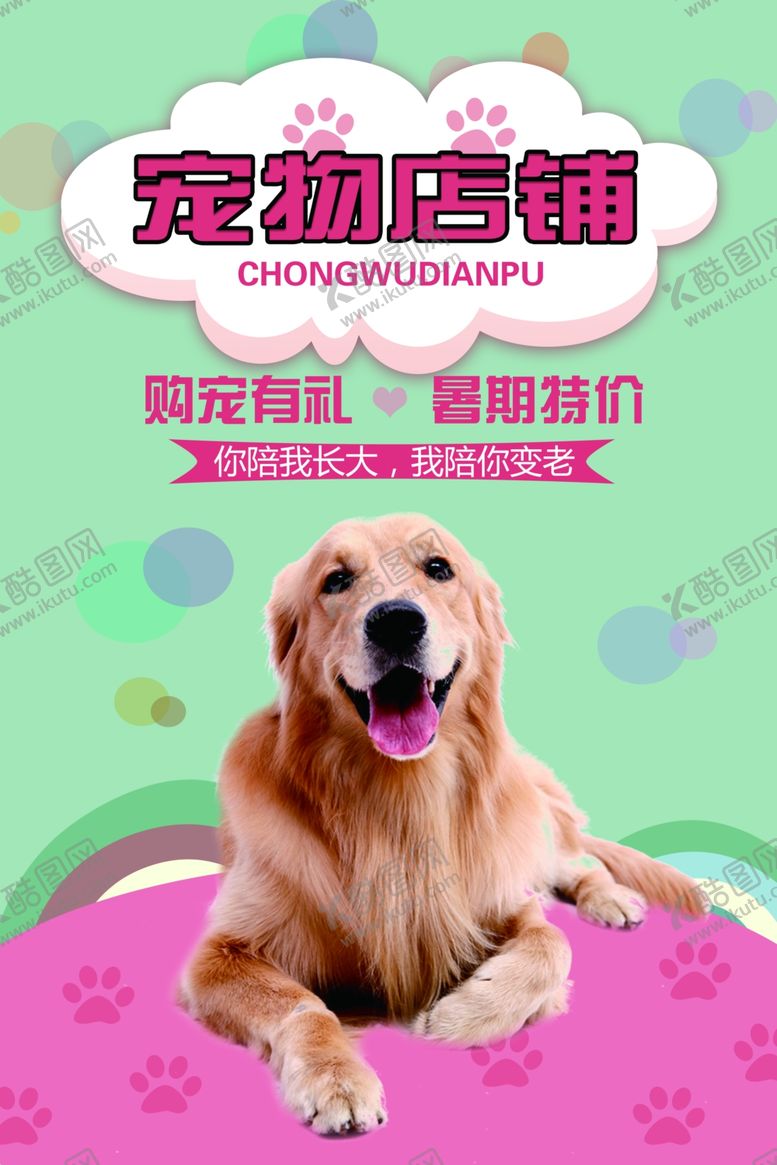 编号：55010110031446476425【酷图网】源文件下载-宠物海报