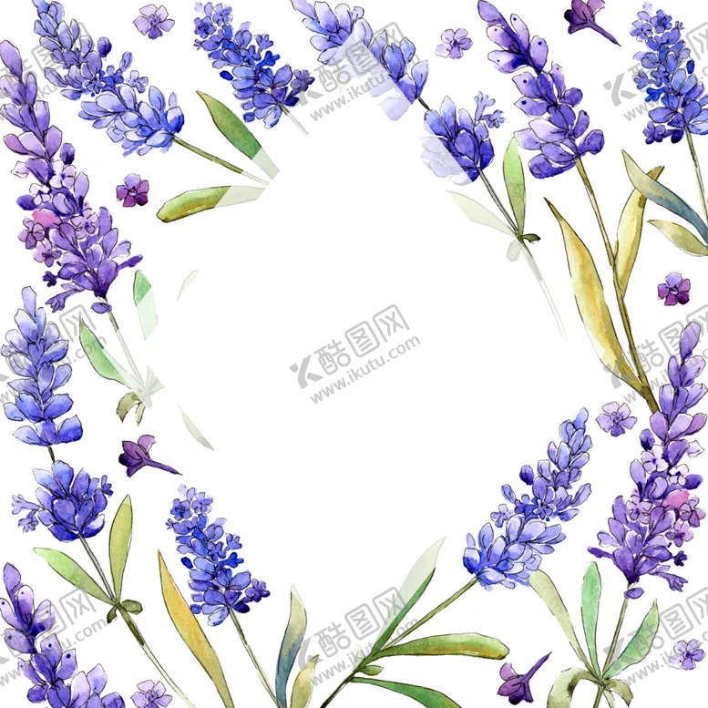 编号：54308507011807059225【酷图网】源文件下载-薰衣草边框