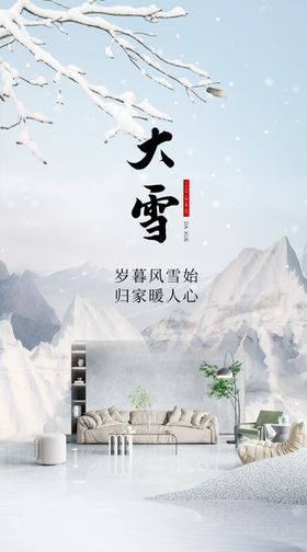 大雪家居海报