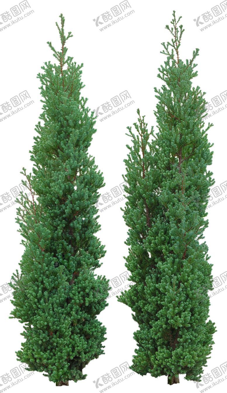 编号：86444509190335473136【酷图网】源文件下载-免扣植物素材图片