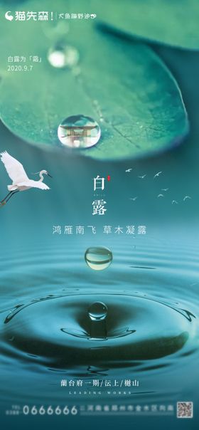 白露节气海报