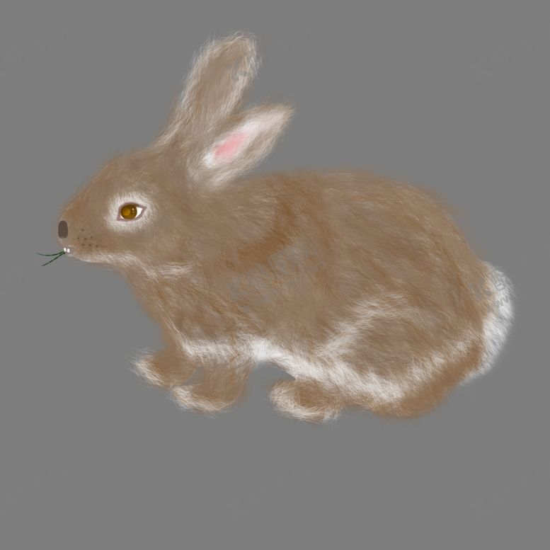 编号：13906010291625025669【酷图网】源文件下载-野兔插画