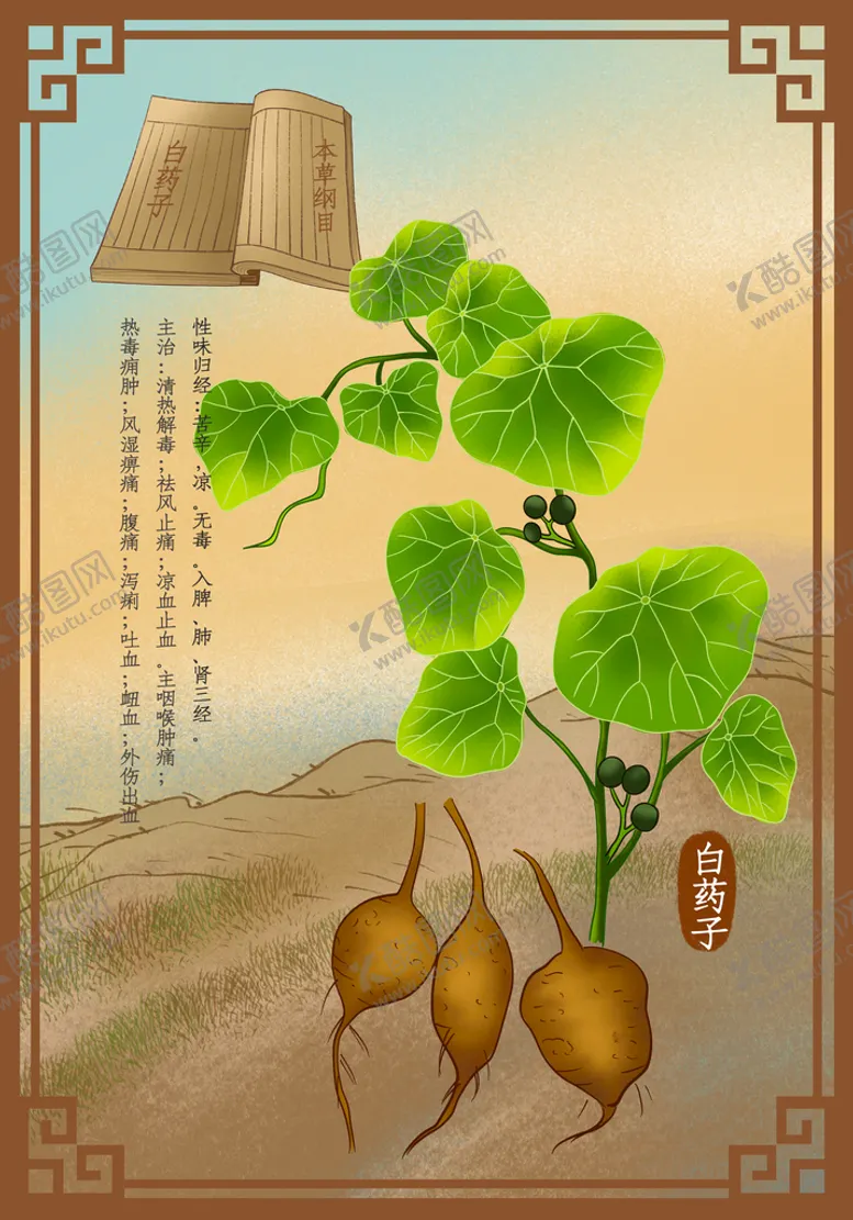 编号：05943209181853478126【酷图网】源文件下载-中药材白药子