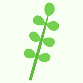 植物水彩花叶子手绘