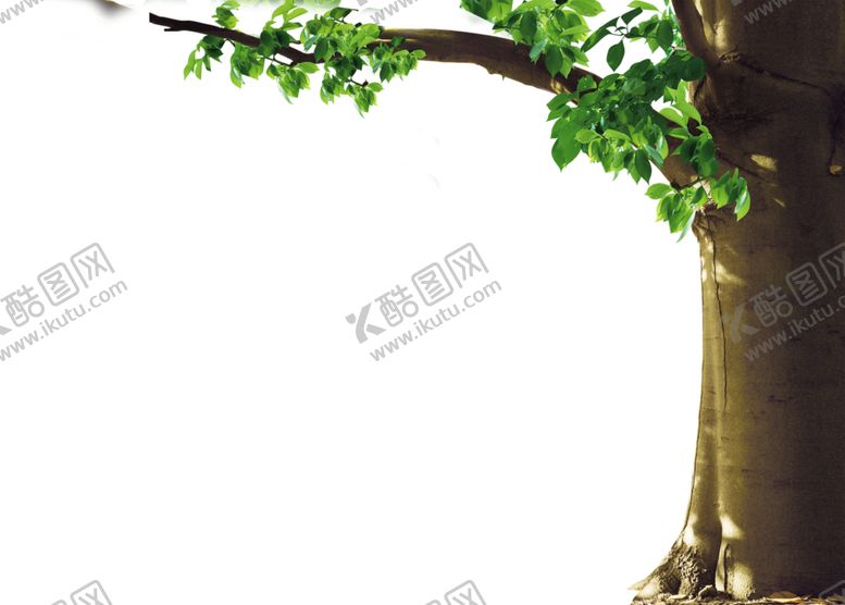 编号：94688207052323357505【酷图网】源文件下载-绿色相框