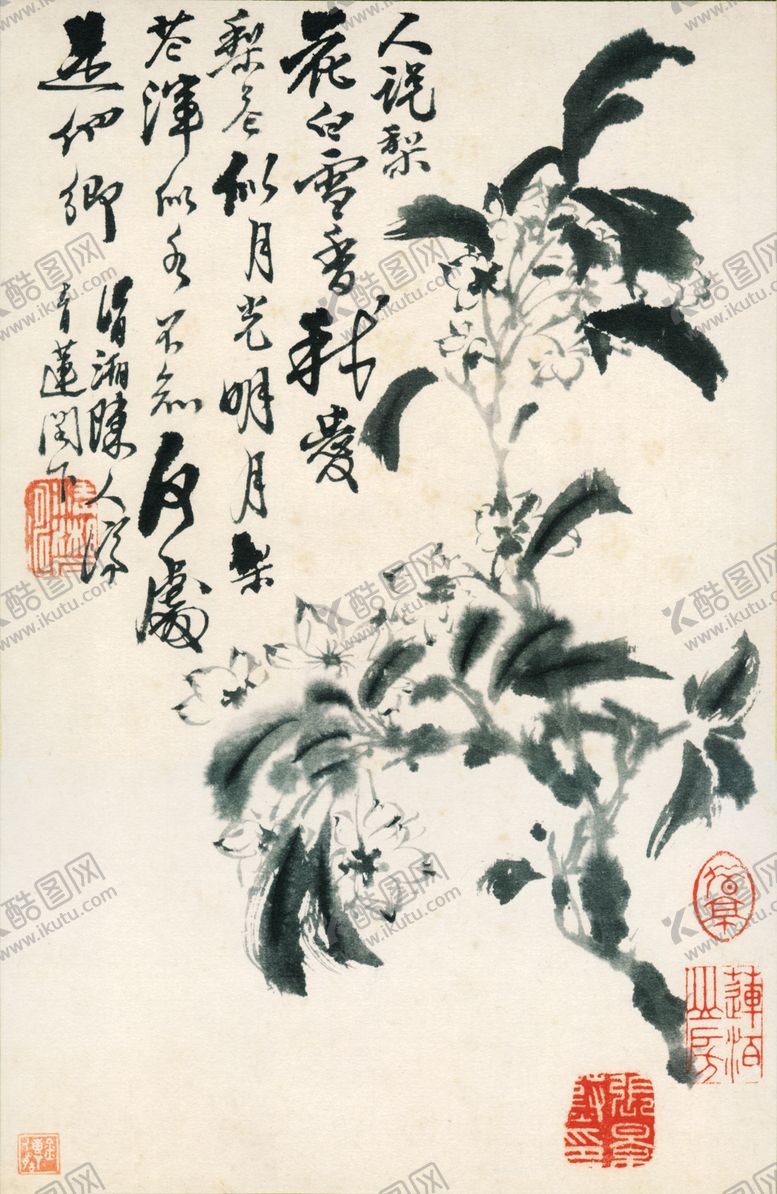 编号：98158209181826366419【酷图网】源文件下载-植物花鸟国画字画