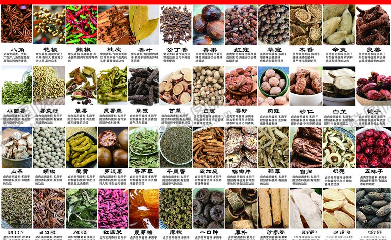 编号：71870010030837302924【酷图网】源文件下载-各种调料