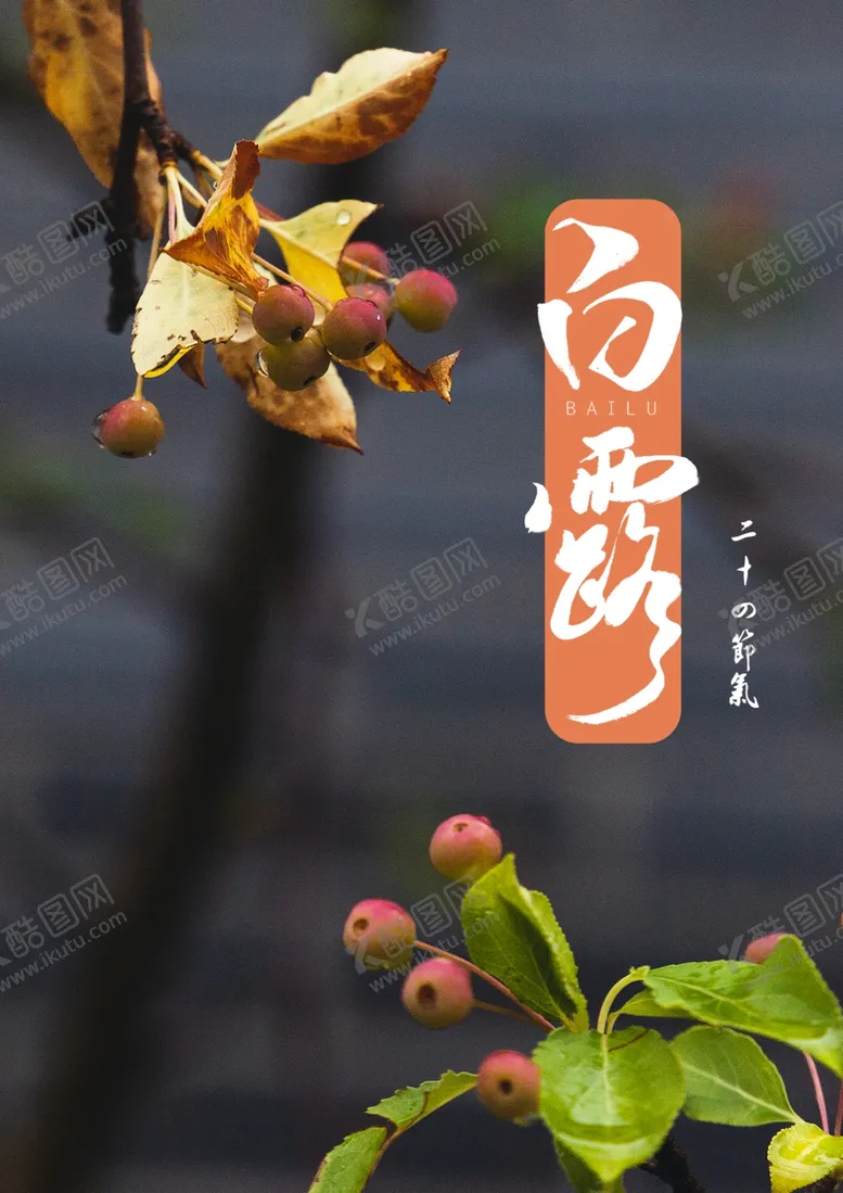 编号：20774705092029321918【酷图网】源文件下载-白露