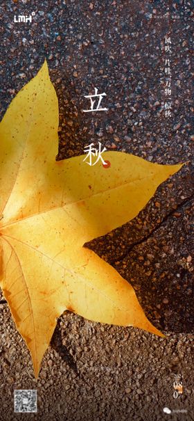 立秋海报落叶二十四节气叶子房地产