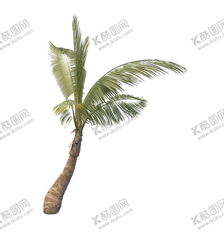 编号：10594807091247179964【酷图网】源文件下载-绿色植物