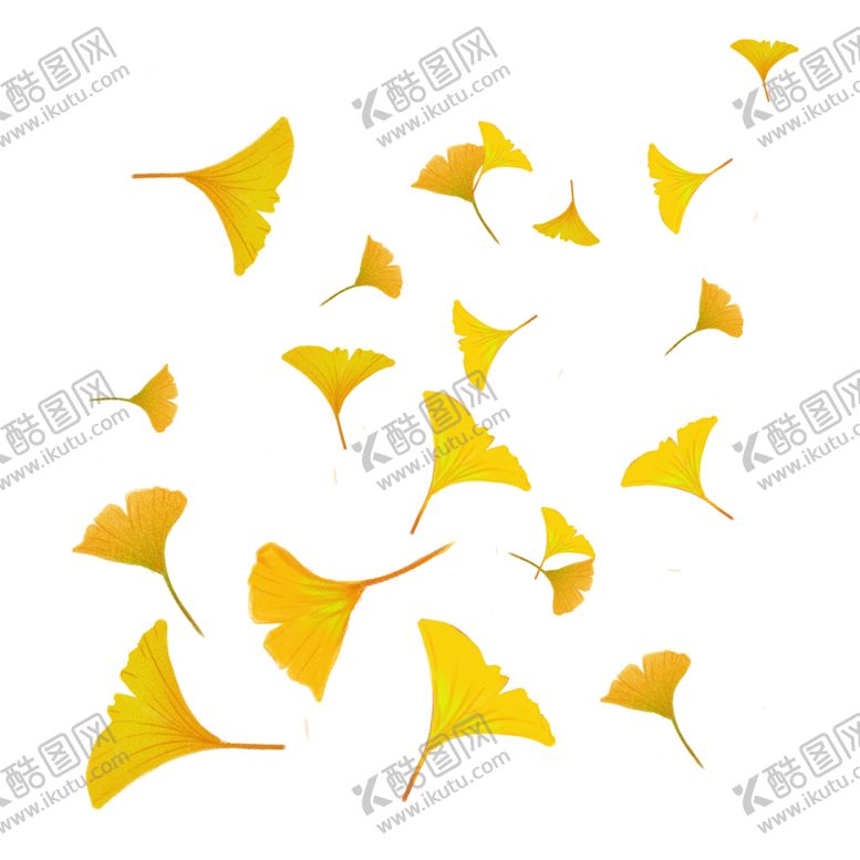 编号：45009604301945308726【酷图网】源文件下载-秋天银杏叶