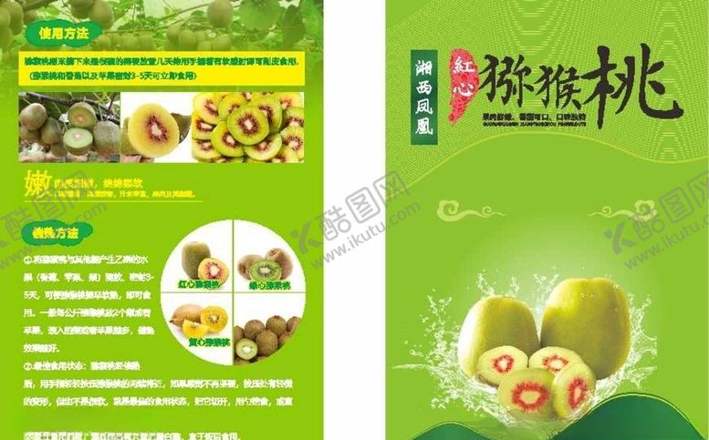 编号：51144704200937589685【酷图网】源文件下载-猕猴桃宣传单海报