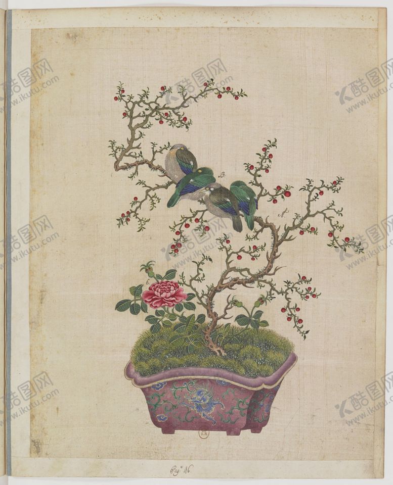 编号：26168404172255105988【酷图网】源文件下载-盆景花鸟