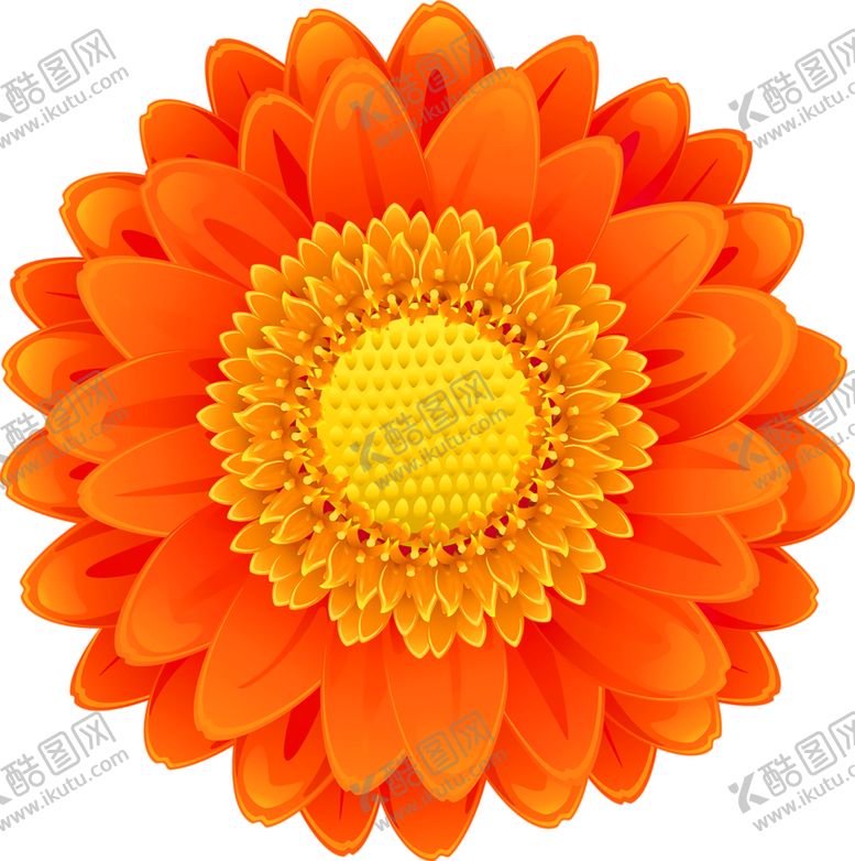编号：67463105122006294277【酷图网】源文件下载-鲜花装饰