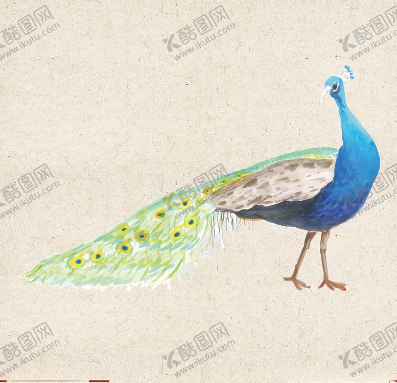 编号：87622806280542586507【酷图网】源文件下载-矢量动物矢量植物插画手绘