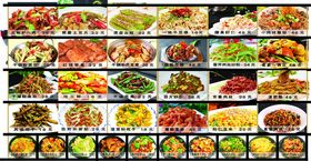 多样美食拼盘展示