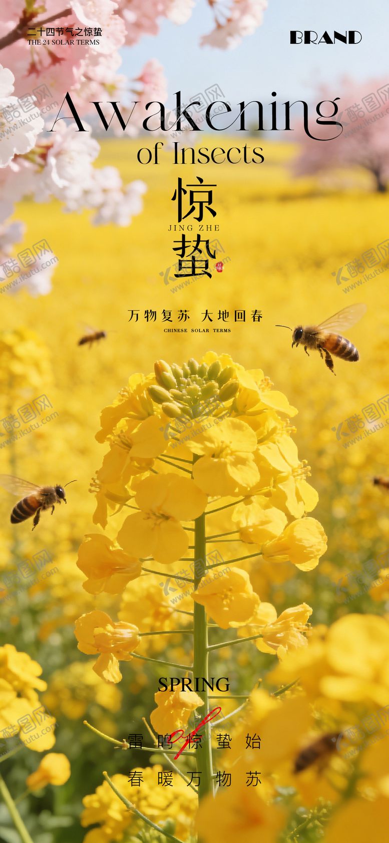 编号：53874003050203381881【酷图网】源文件下载-惊蛰节气海报