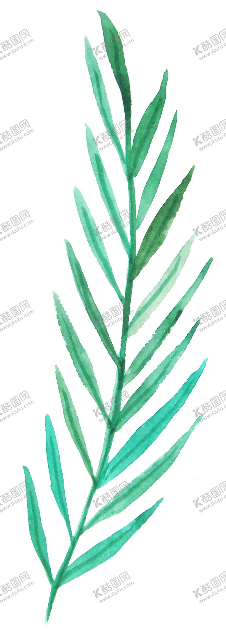 编号：59078810171229366654【酷图网】源文件下载-彩绘枝叶