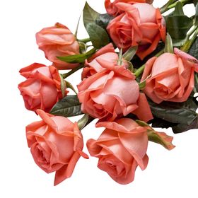 玫瑰花装饰素材