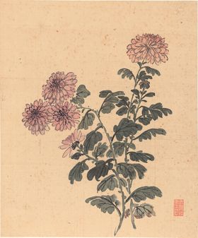 国画植物素材