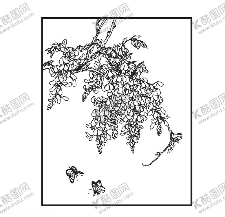 编号：76052309230838438352【酷图网】源文件下载-紫藤