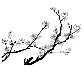 梅花素材