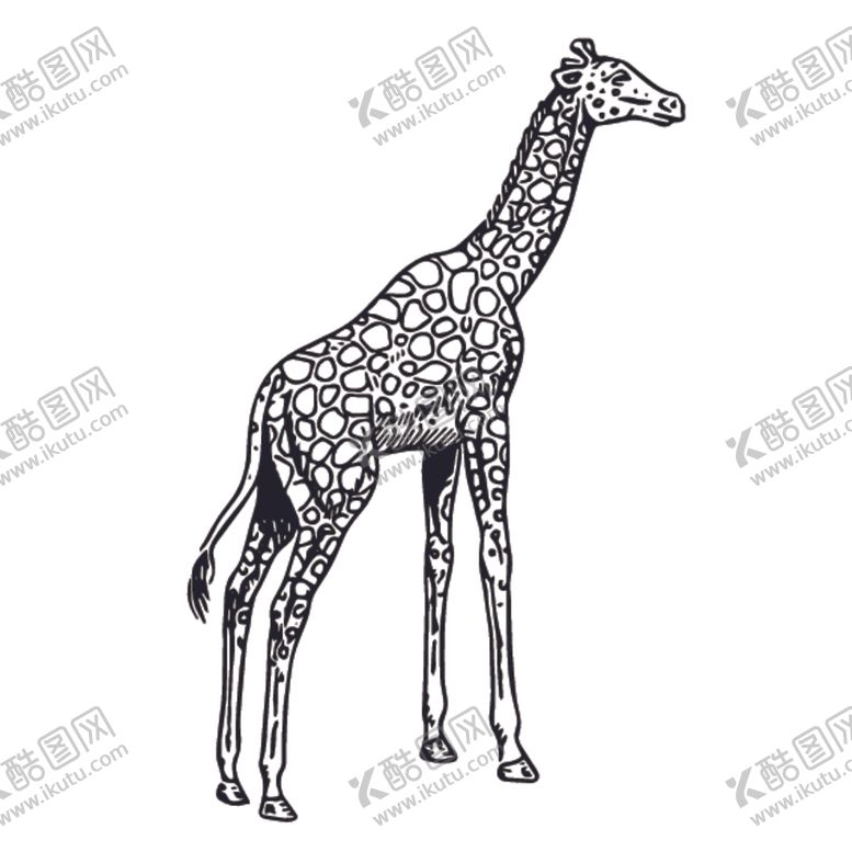 编号：16532010121658204950【酷图网】源文件下载-长颈鹿绘画图案