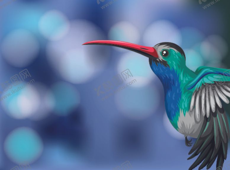 编号：64296609270755179781【酷图网】源文件下载-鸟类插画
