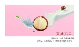 坚果海报杏仁夏威夷果