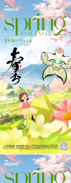 春分节气海报鲜花插画清新二十四