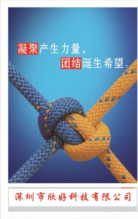 团队
