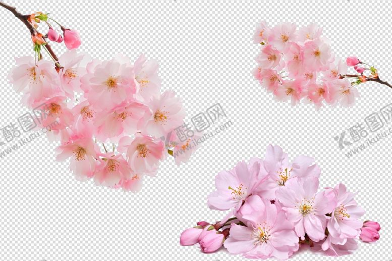 编号：12581910181035507456【酷图网】源文件下载-桃花花枝