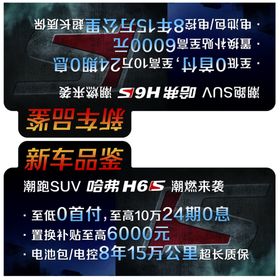 H6S车顶牌