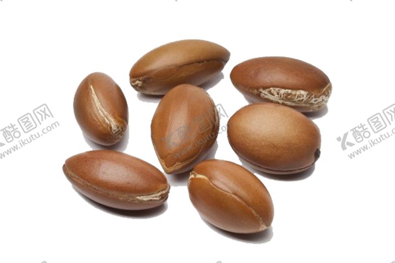 编号：21514709241247217433【酷图网】源文件下载-摩洛哥素材