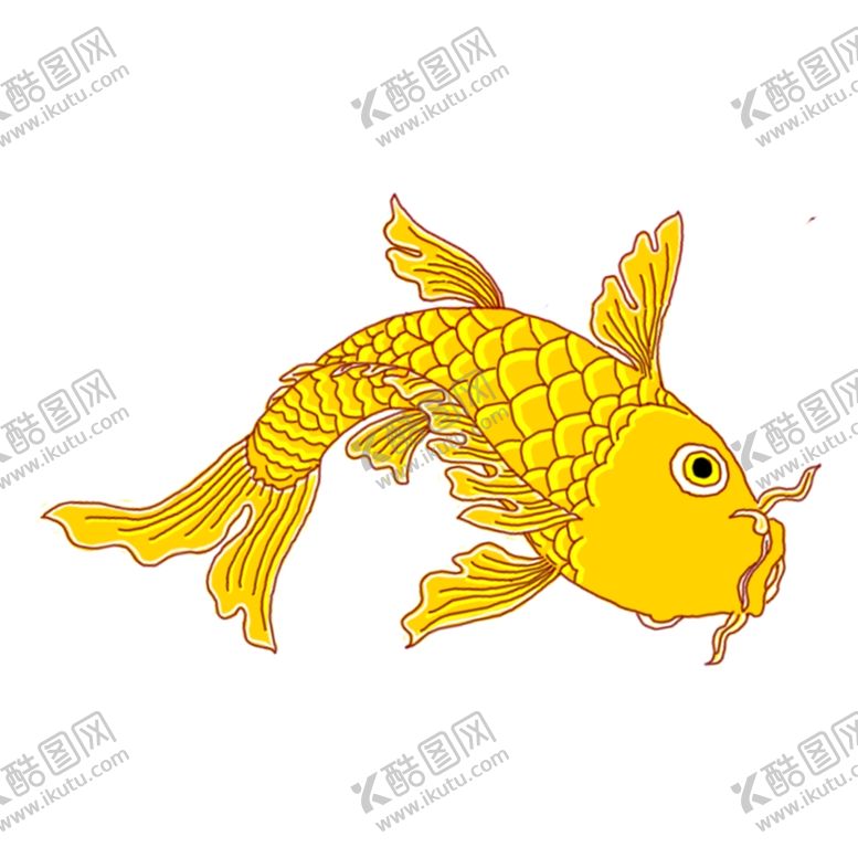 编号：98692210170215579744【酷图网】源文件下载-鲤鱼素材