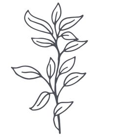 手绘植物